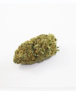 707 Headband 9 20a 1024x738