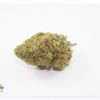 Animal Cookies 6 15a 1024x738