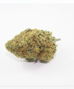 Animal Cookies 6 15a 1024x738