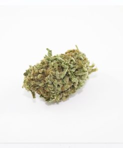 Blue Cookies 10 30a 1024x738 1