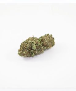 Blue Kush 10 2a 1024x738 1024x738 1