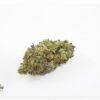 Pink Kush 7 13a 1024x738