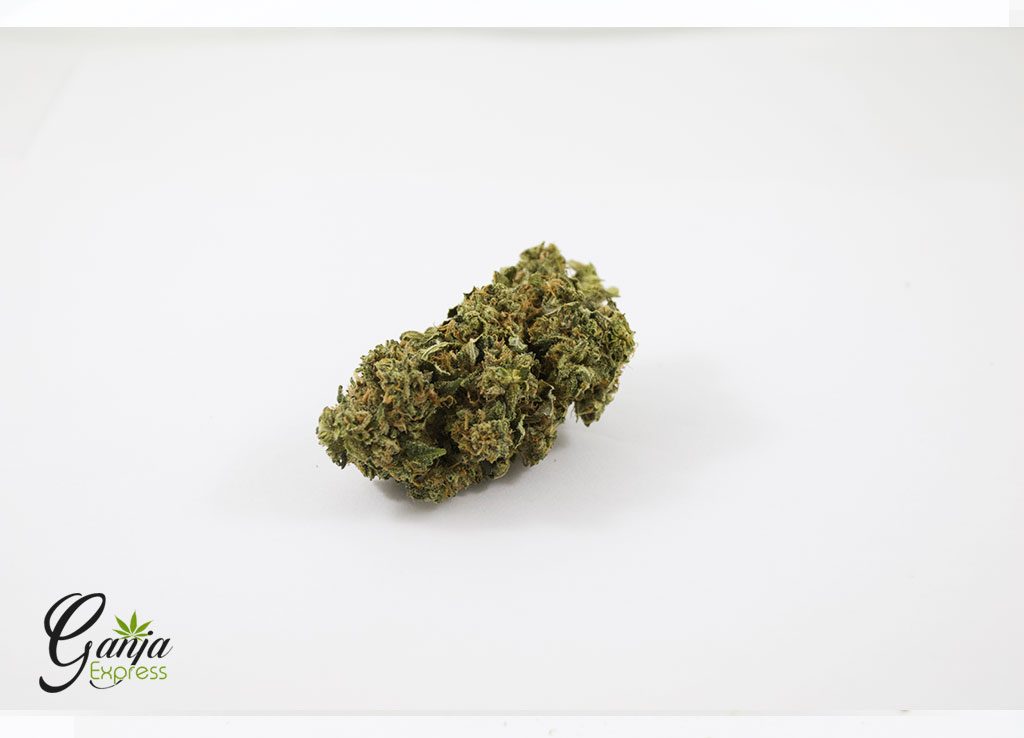 Platinum Og 8 31a 1024x738