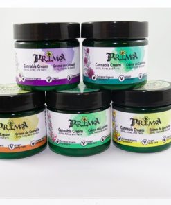 Prima Group 4 12b 1024x738 1