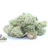 critical-kiush-1