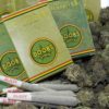 doobs 03 30a 1024x683