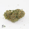 purple kush 07 22a