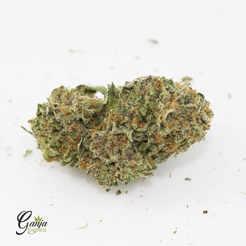 purple kush 07 22a