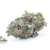 PURPLE-BUBBA-1
