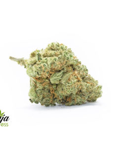 big-buddha-cheese-1