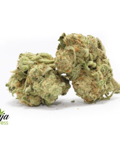 big-buddha-cheese-2