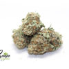 great-white-shark-1