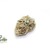 great-white-shark-2-1