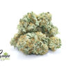house-indica-1