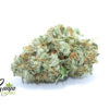 house-indica-2