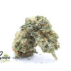 house-sativa-1