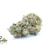 house-sativa-2