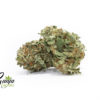 master-kush-2