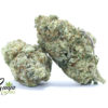 purple-buddha-1