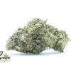 purple-buddha-2