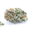 purple-urkle-1