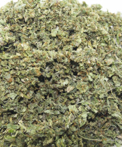 trim shake 11 19