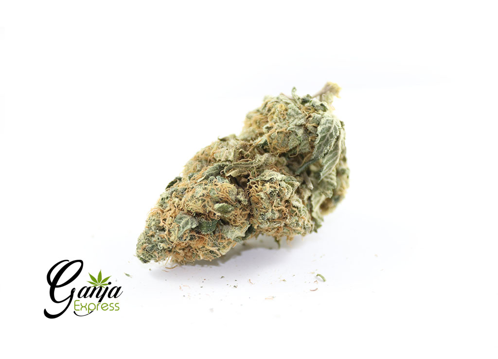 blueberry-cheesecake-1