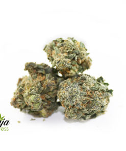 black-buddha-3