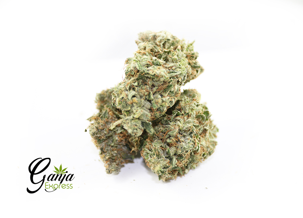 extreme-death-bubba-6