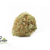 golden-goat-3