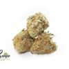 golden-goat-4