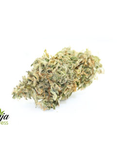 green-bubba-1