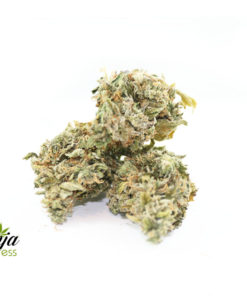 green-bubba-2