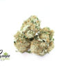 king-afgoo-2