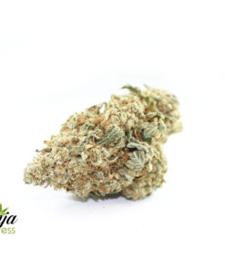 lemon-thai-1