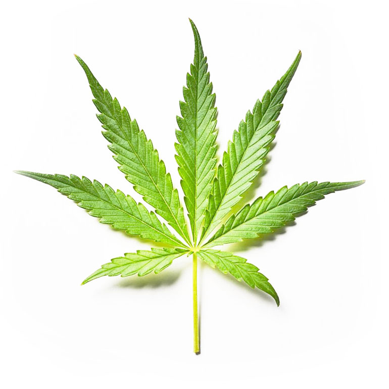 marijuana-leaf-1-1