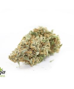 nuken-haze-1-1
