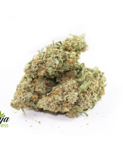nuken-haze-2-1