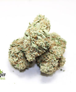 purple-bunny-cookies-2