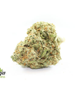 sweet-nuken-candy-1