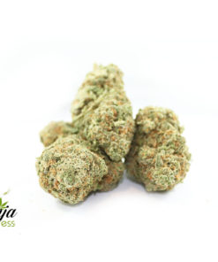 sweet-nuken-candy-2