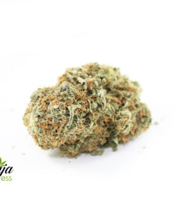 white-bubbaog-1