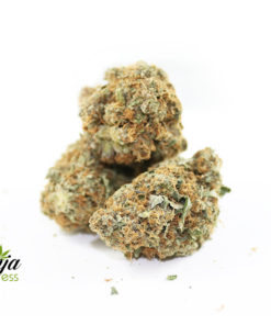 white-bubbaog-3