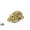 ANIMAL-COOKIES-2-1