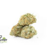 ANIMAL-COOKIES-2-2