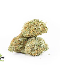 ANIMAL-COOKIES-2-2