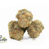 GS-ANIMAL-COOKIES-1