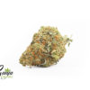 GS-ANIMAL-COOKIES-2