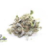 HOUSE-DEATH-BUBBA-2