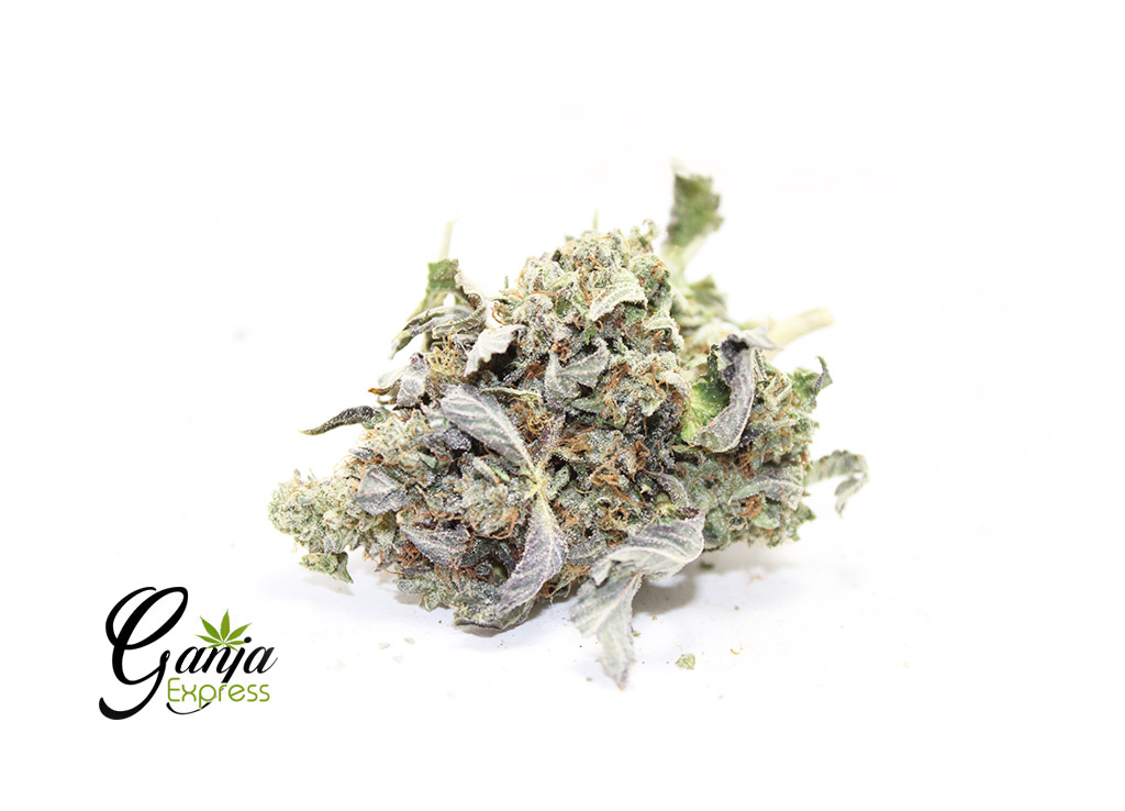 HOUSE-DEATH-BUBBA-2
